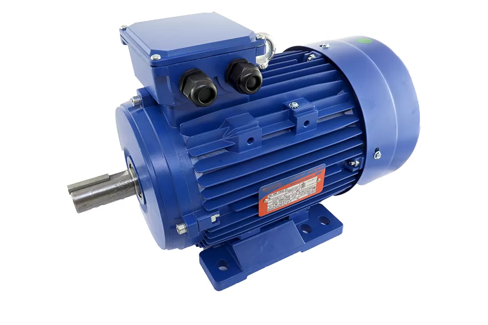 Электродвигатель АИР100 S2 1М1081 (4/3000)